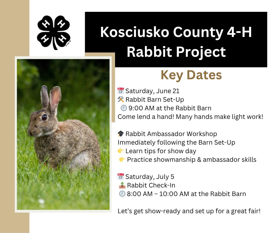 Kosciusko - 🚨🐰 RABBIT FAMILIES — IT’S GO TIME! 🛠️🎓 We’ve got a BIG day ...