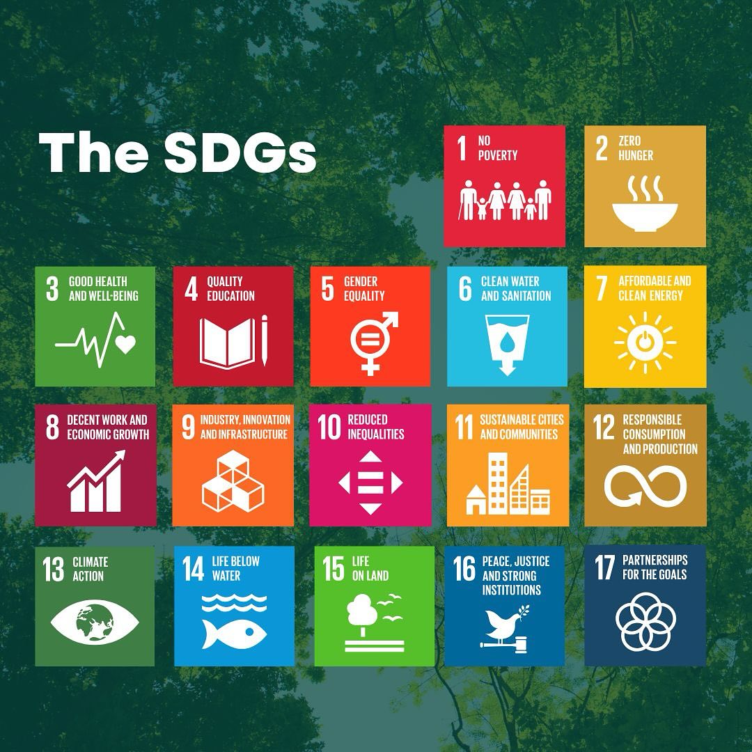 U-Report - Which SDG Matters Most to You? 🌍 The SDGs tackle issues like ...