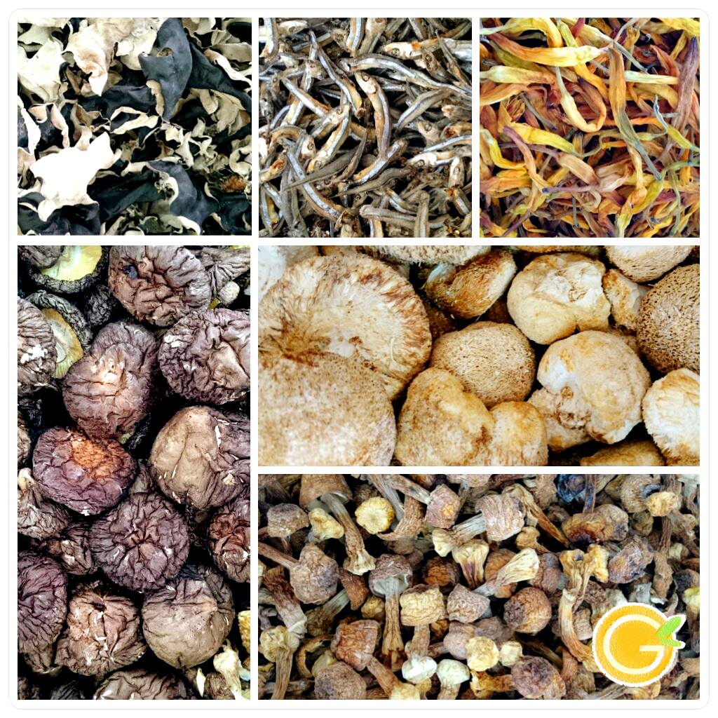 興廣益行 | Taitung