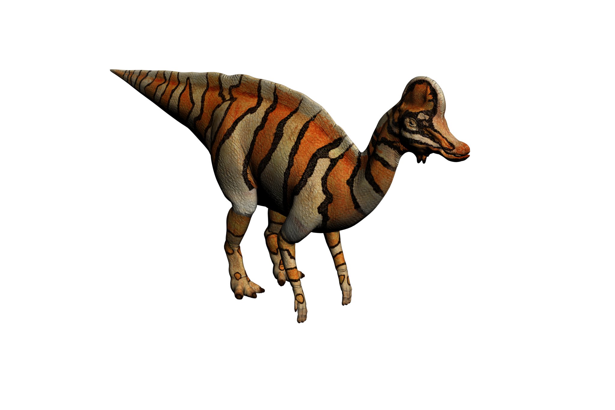 Dino Dan Corythosaurus