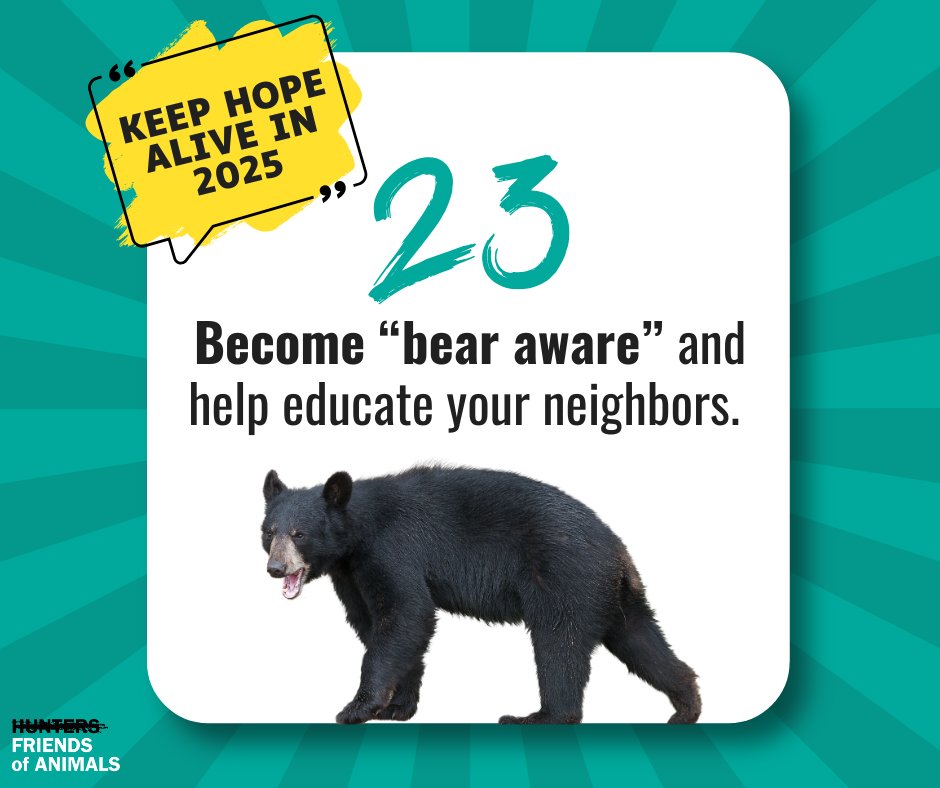 Friends - #KeepHopeAlivein2025 and become more bear aware! Bears are ...