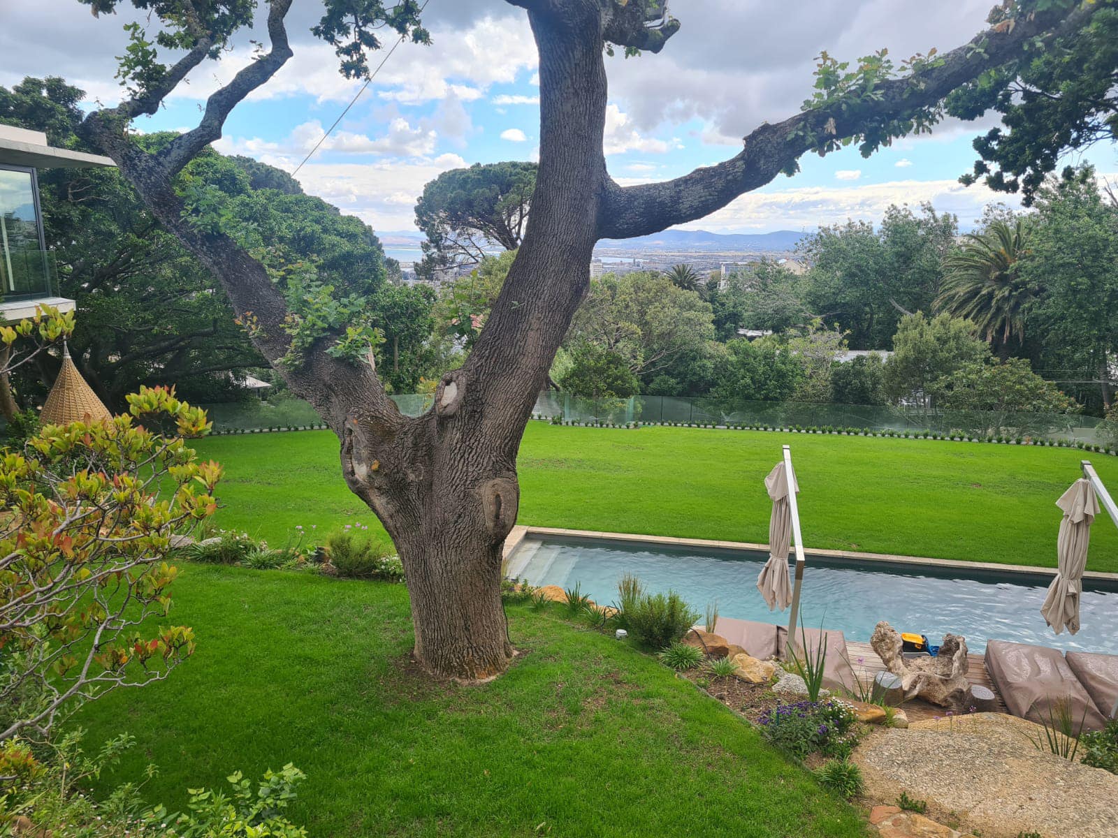 Alan Dawson Gardens