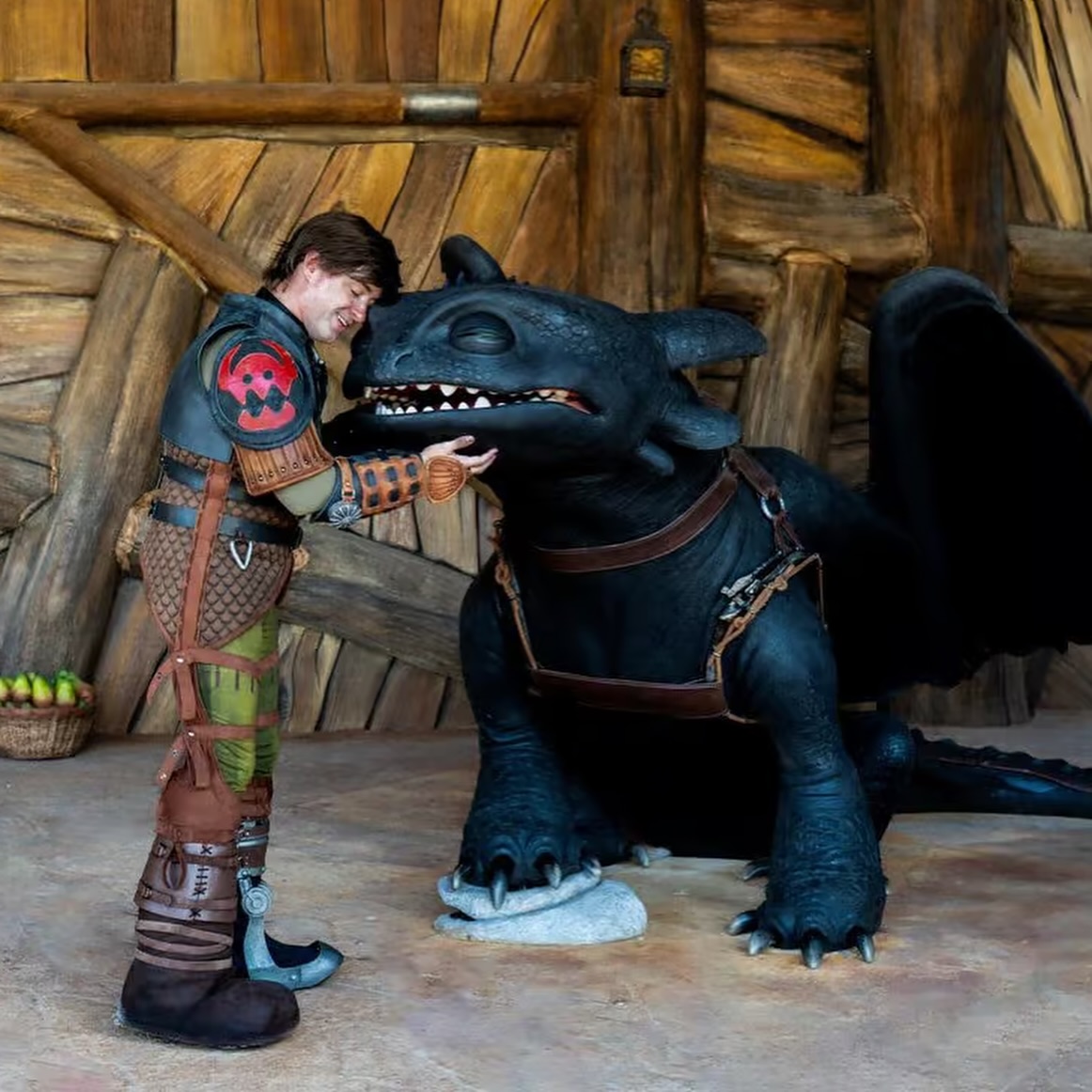The DIS - First look at the Hiccup and Toothless meet &... | Facebook
