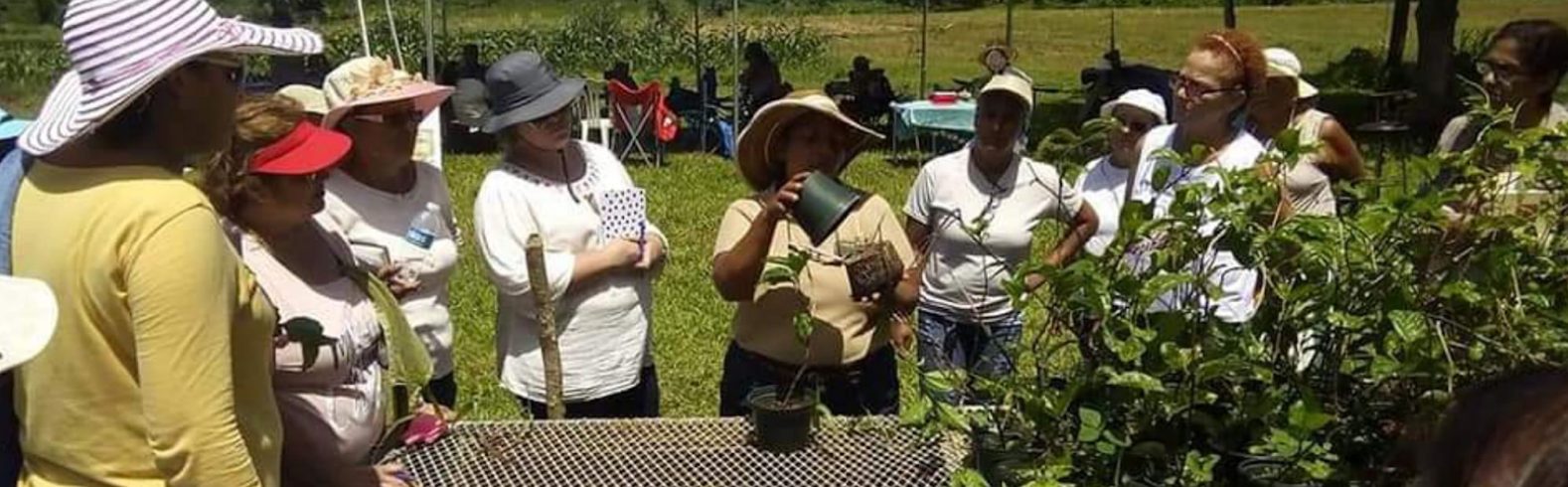 Building Equity and Alignment for Environmental Justice