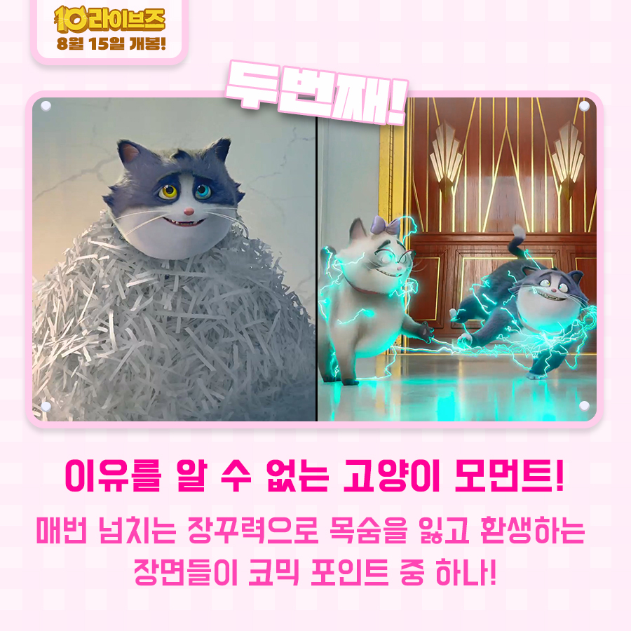 BoXoo 엔터테인먼트
