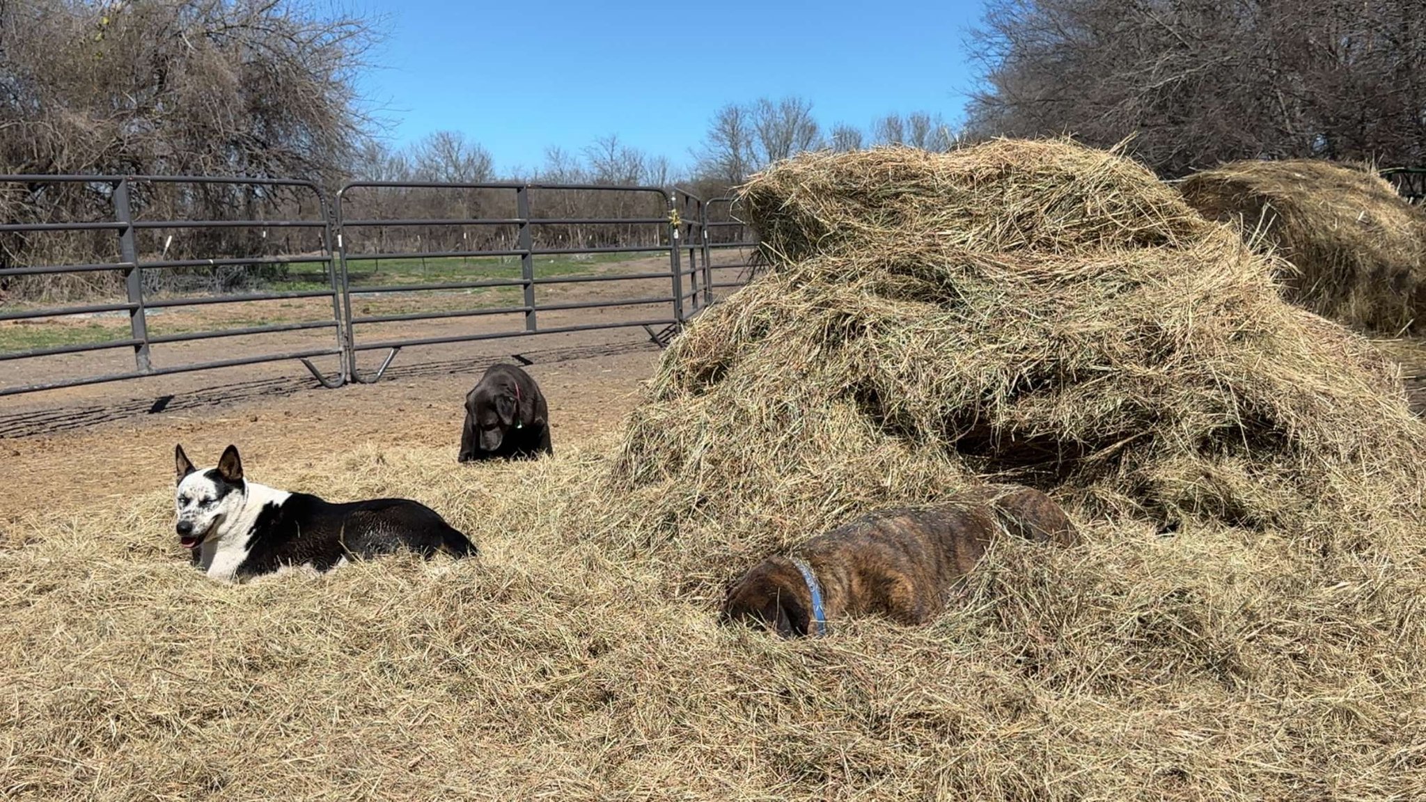 Castaways Ranch