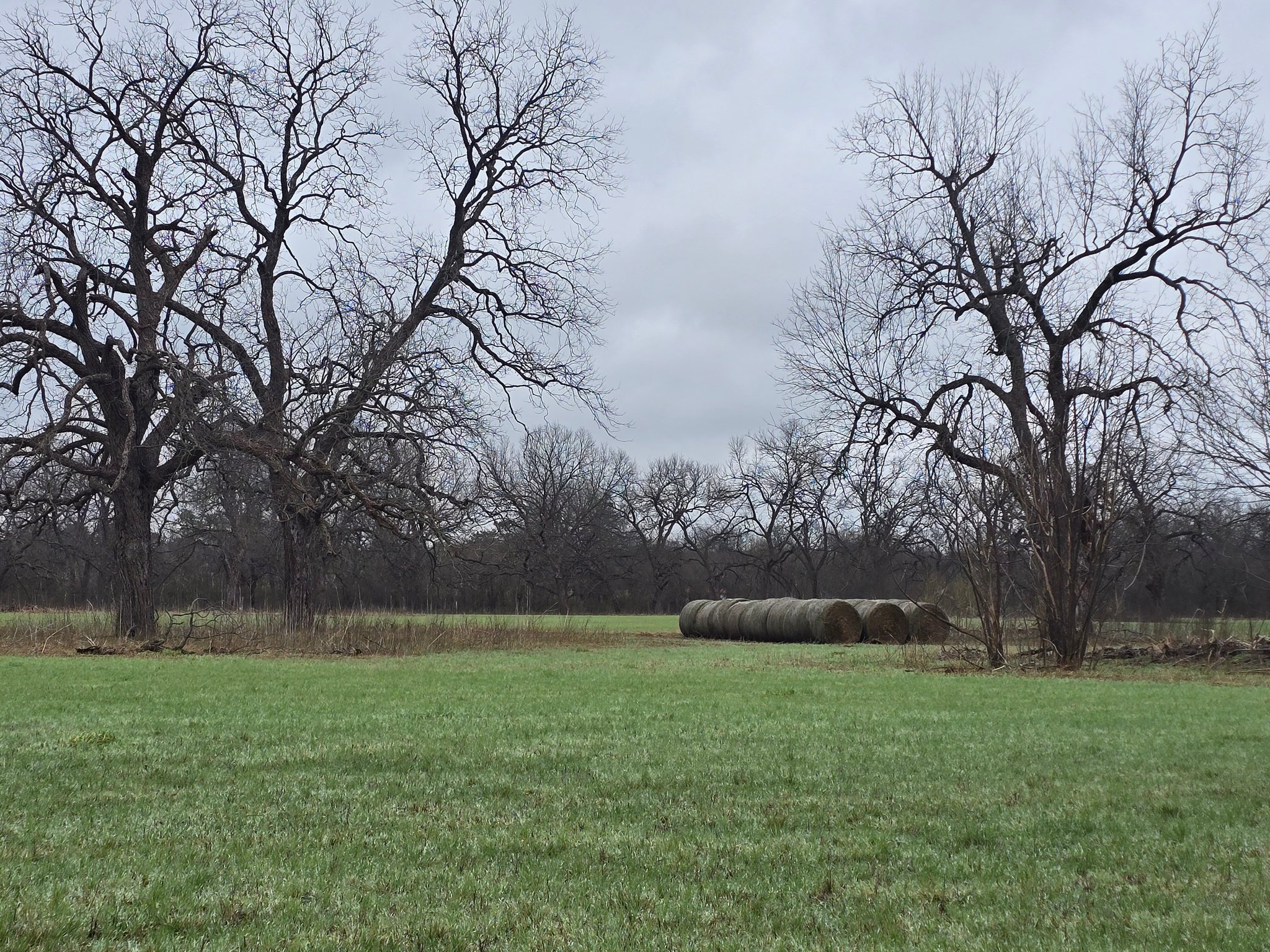 Castaways Ranch