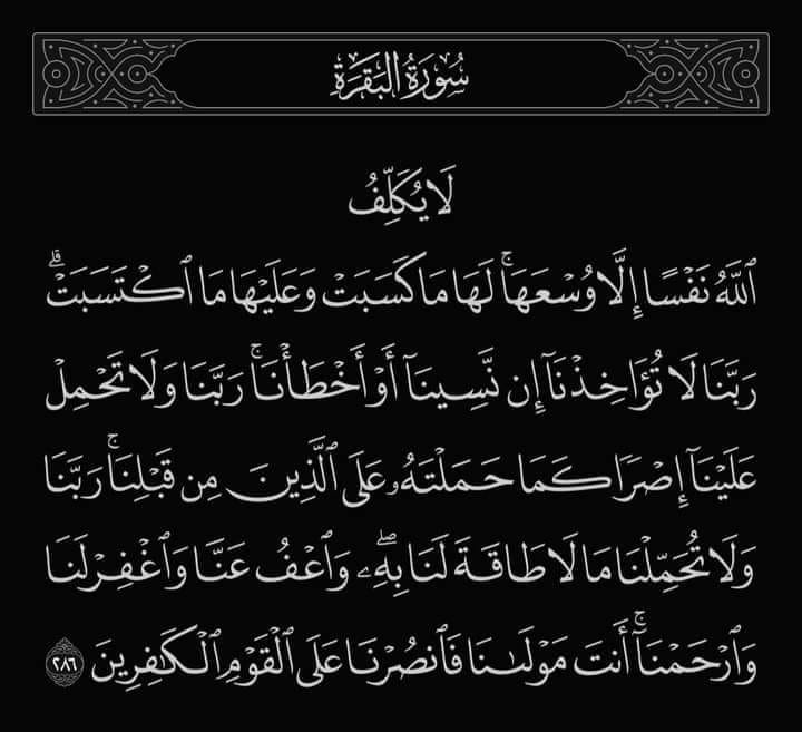Esraa Ragab Sayed