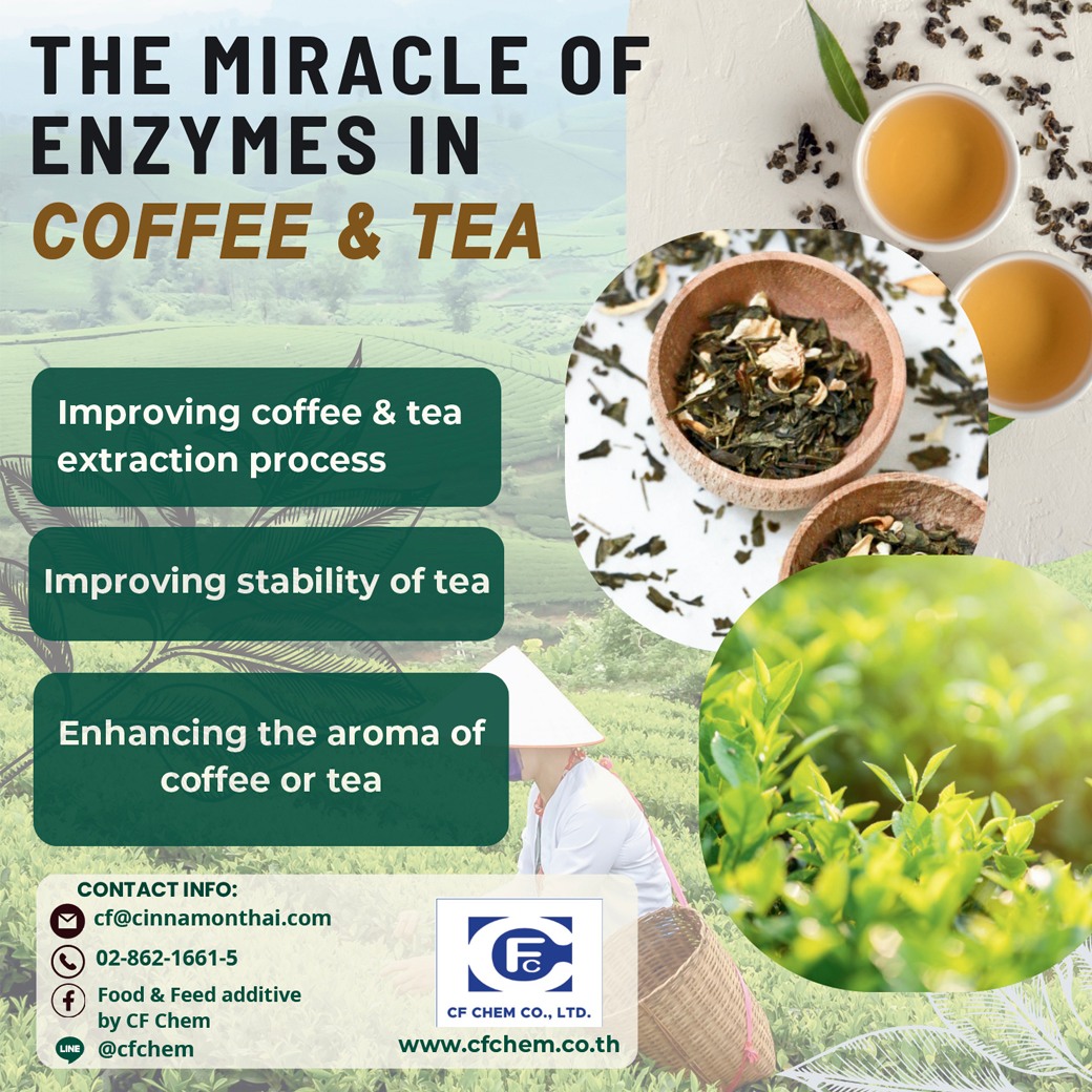 Food Focus Thailand - ☕ Showcase: Coffee & Tea Innovation 🍵 พลิกโฉม ...