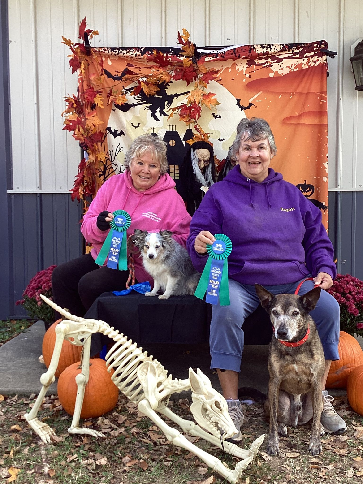 RUFF Agility | Palmyra VA