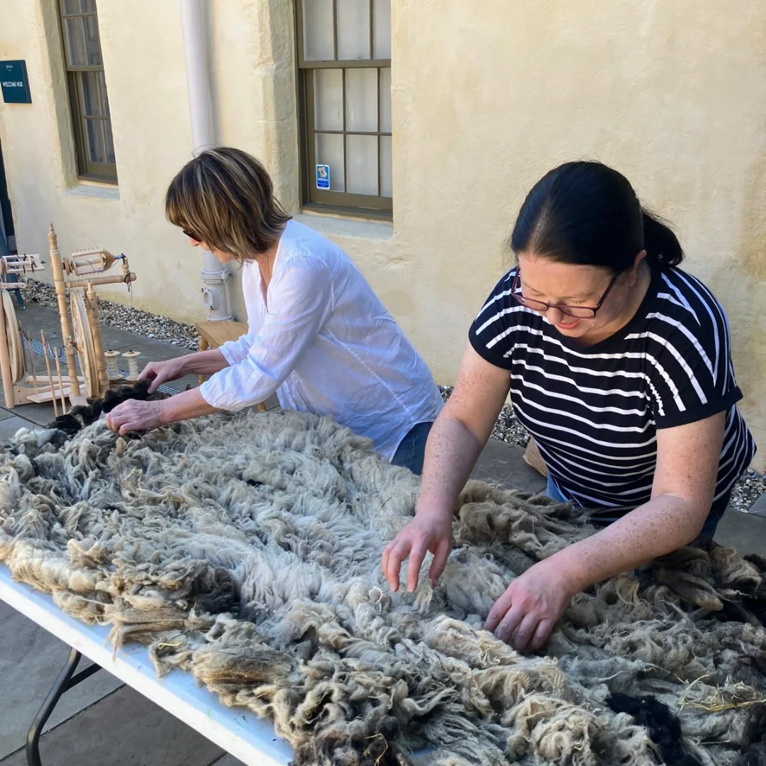 Provan - Preparing a fleece for weaving! This fleece is from a Shetland ...