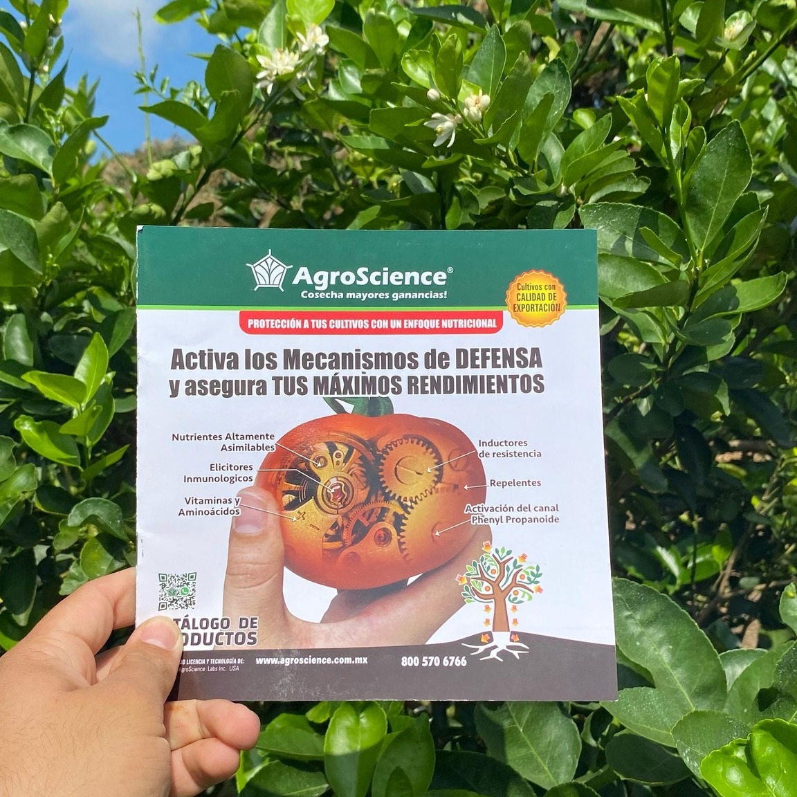 AgroScience - AgroScience added a new photo.