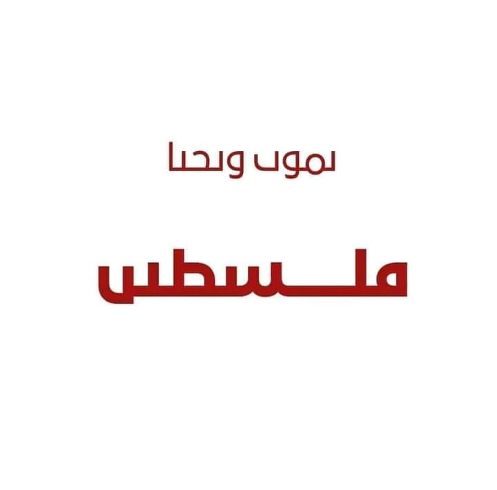 Menna Keshk