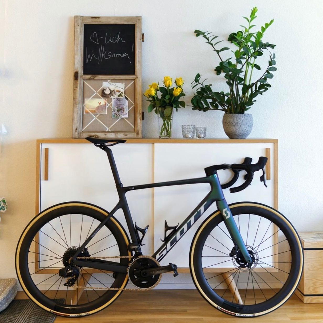 SCOTT Addict RC Pro • Dura-Ace • ENVE 📸: @rezaprabowo