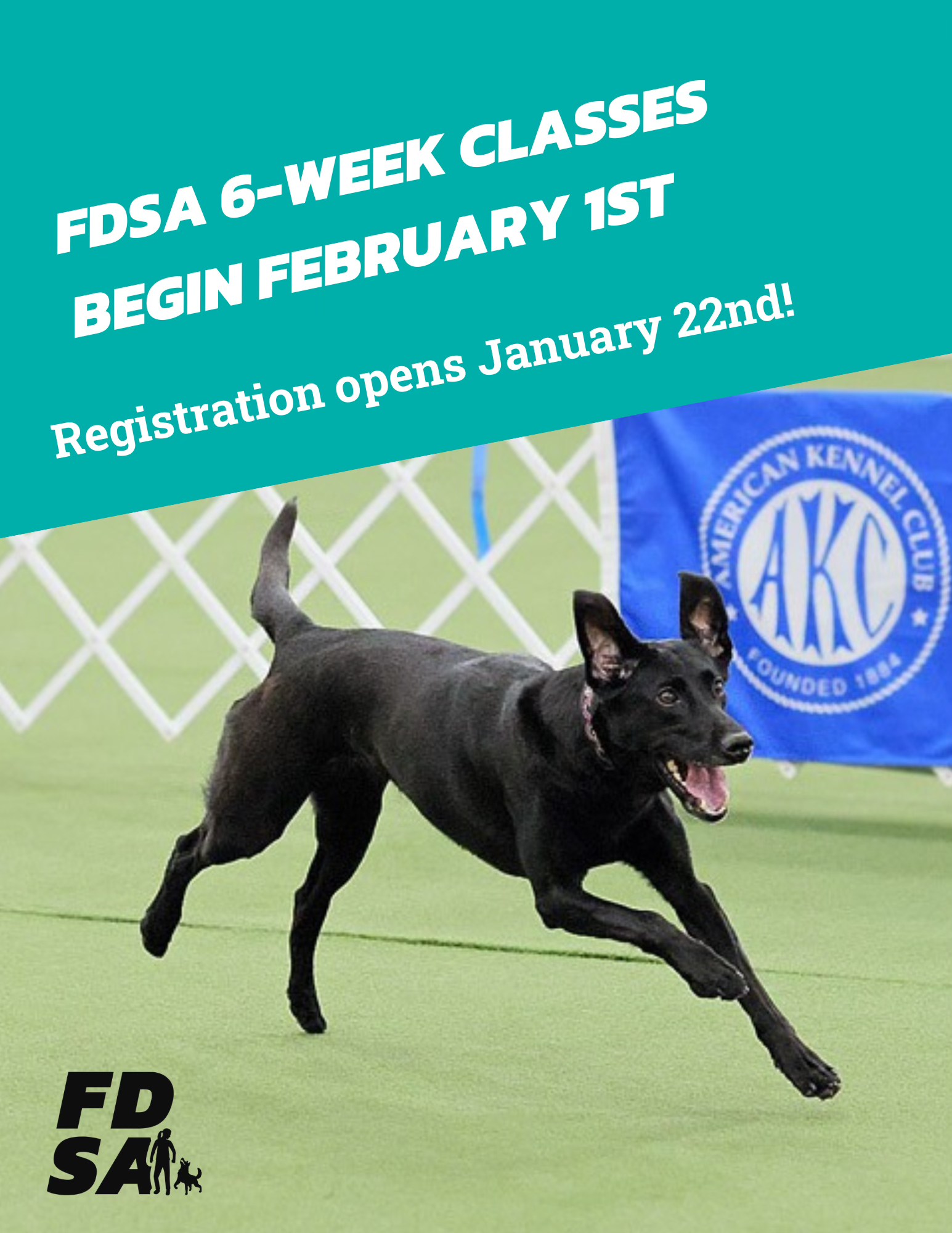 New year, new... training... - Fenzi Dog Sports Academy | Facebook