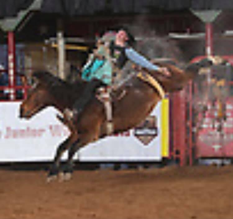American Pro Rodeo Co