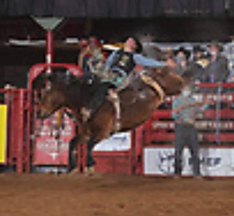 American Pro Rodeo Co