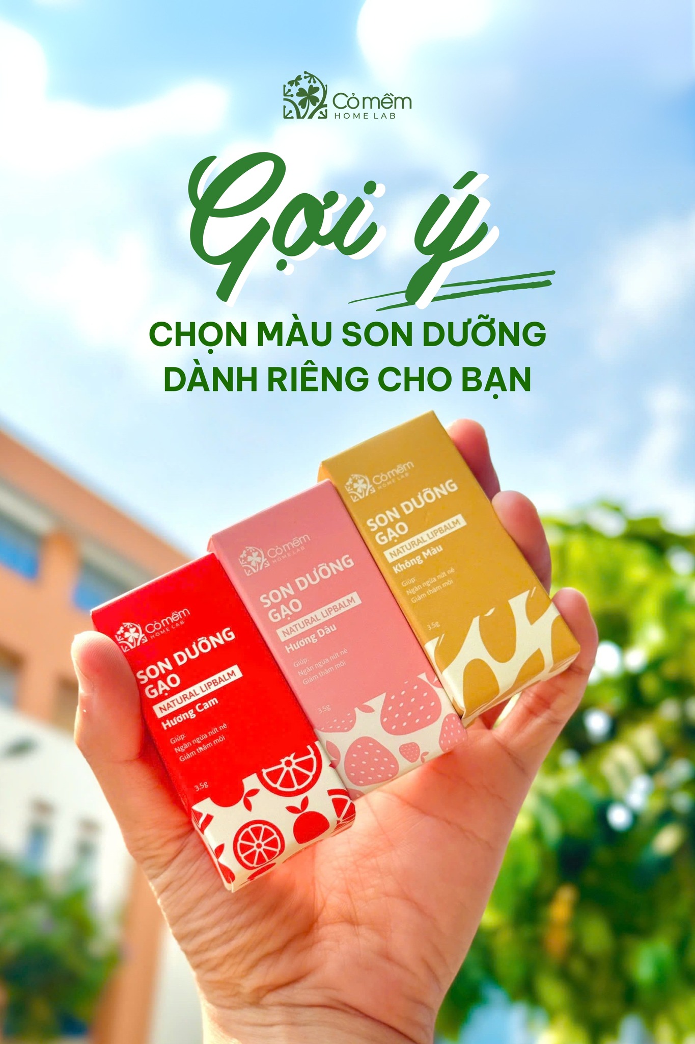 Cỏ mềm HomeLab - Cỏ mềm HomeLab added a new photo.