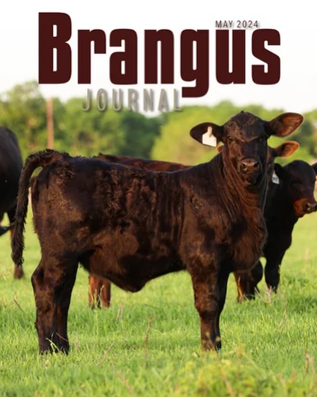 Tuna Rosa Ranch | Gonzales TX
