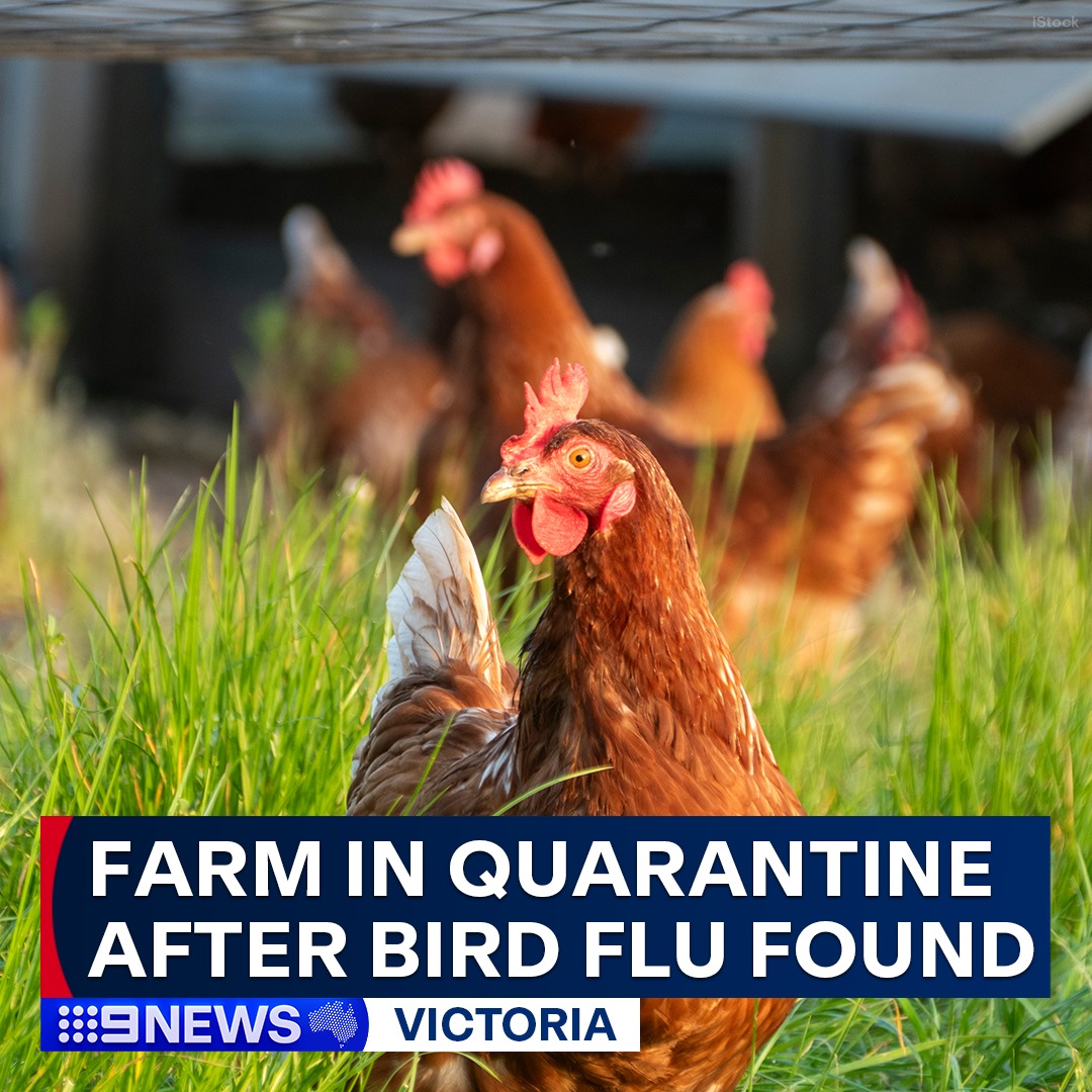 9 News - #ALERT: Bird flu has been detected at a farm in...