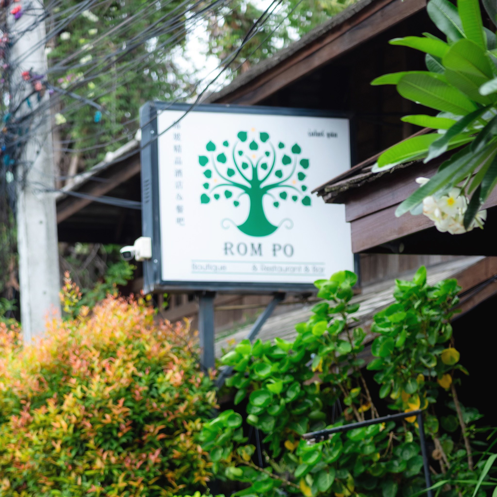 Rompo Boutique - 🌿 โรงแรมร่มโพธิ์บูติค ยินดีต้อนรับทุกท่าน... | Facebook