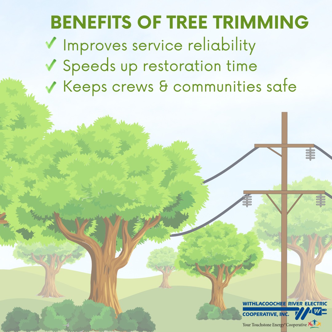 Withlacoochee - 🌳 The Benefits of Tree Trimming 🌳 Did you know that ...