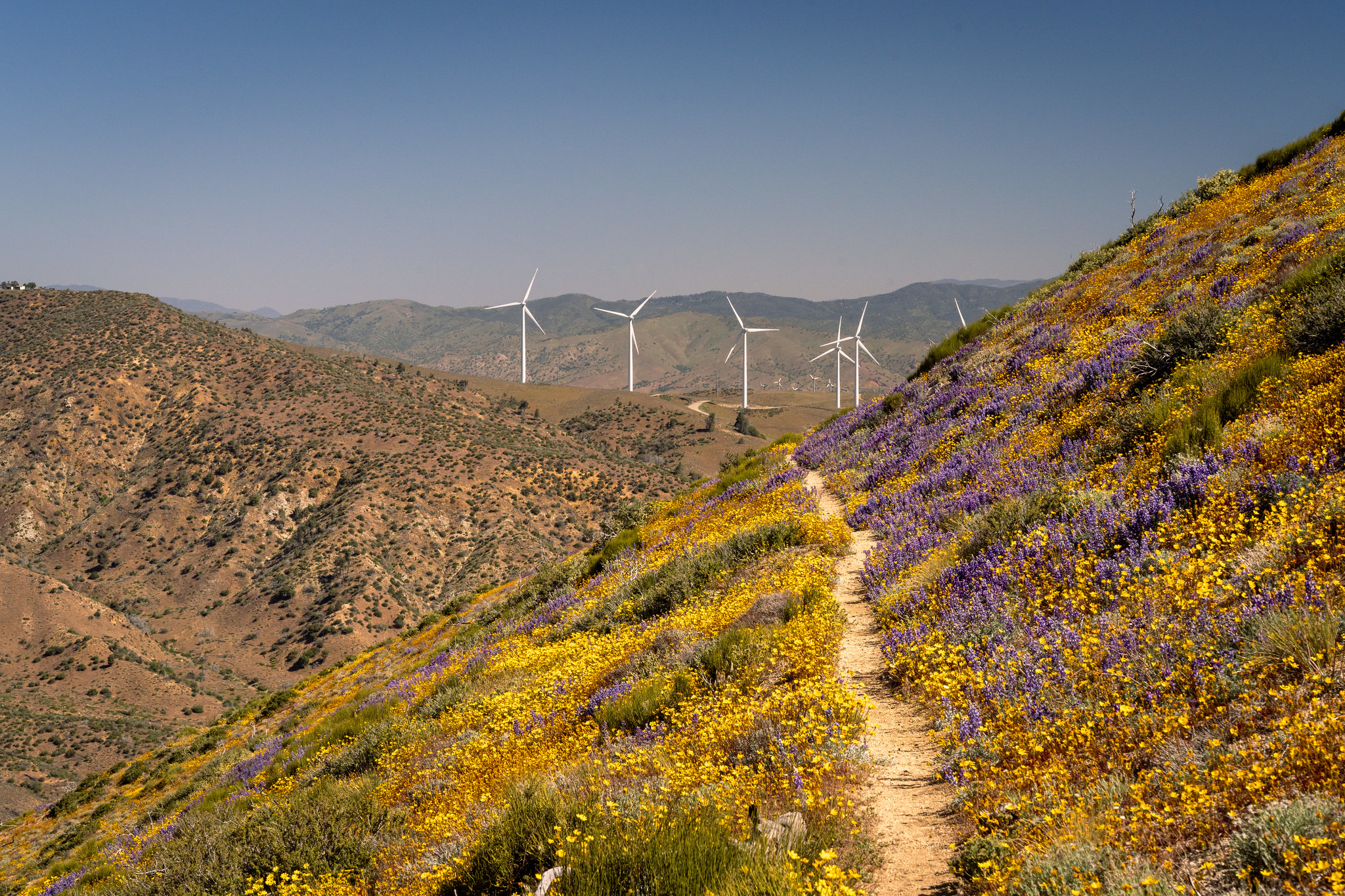 Pacific - Spring is officially here! The trail is calling, and the sun ...
