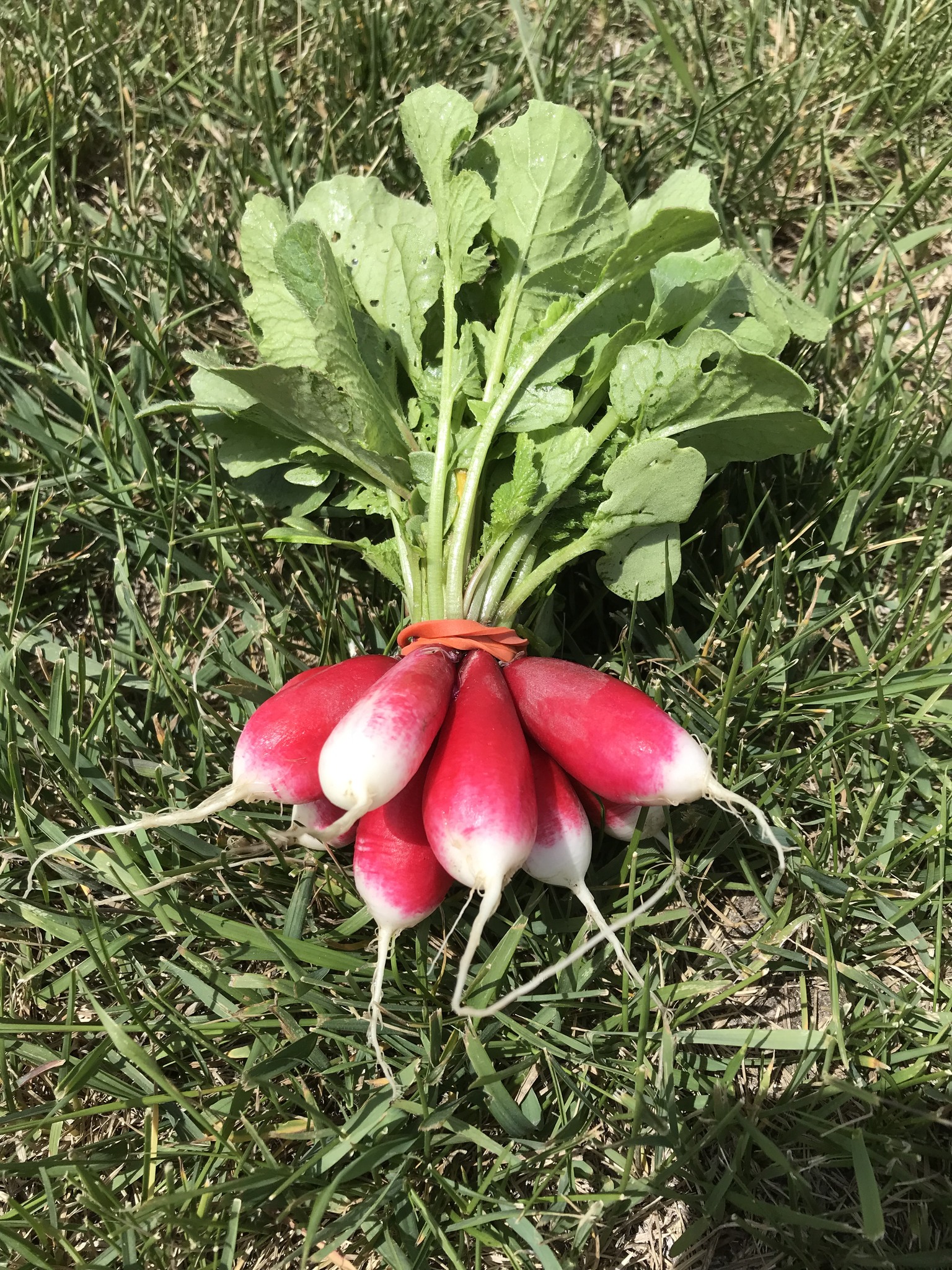 CRANBROOK, BC 🇨🇦 | I am looking to contact Jenine, who visited our ...