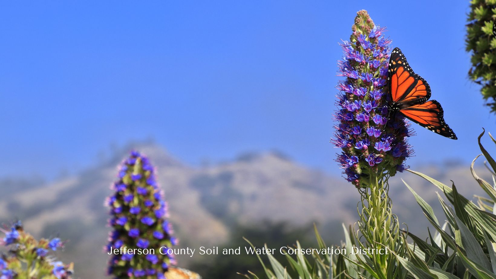 Wilkin Soil... - Wilkin Soil and Water Conservation District