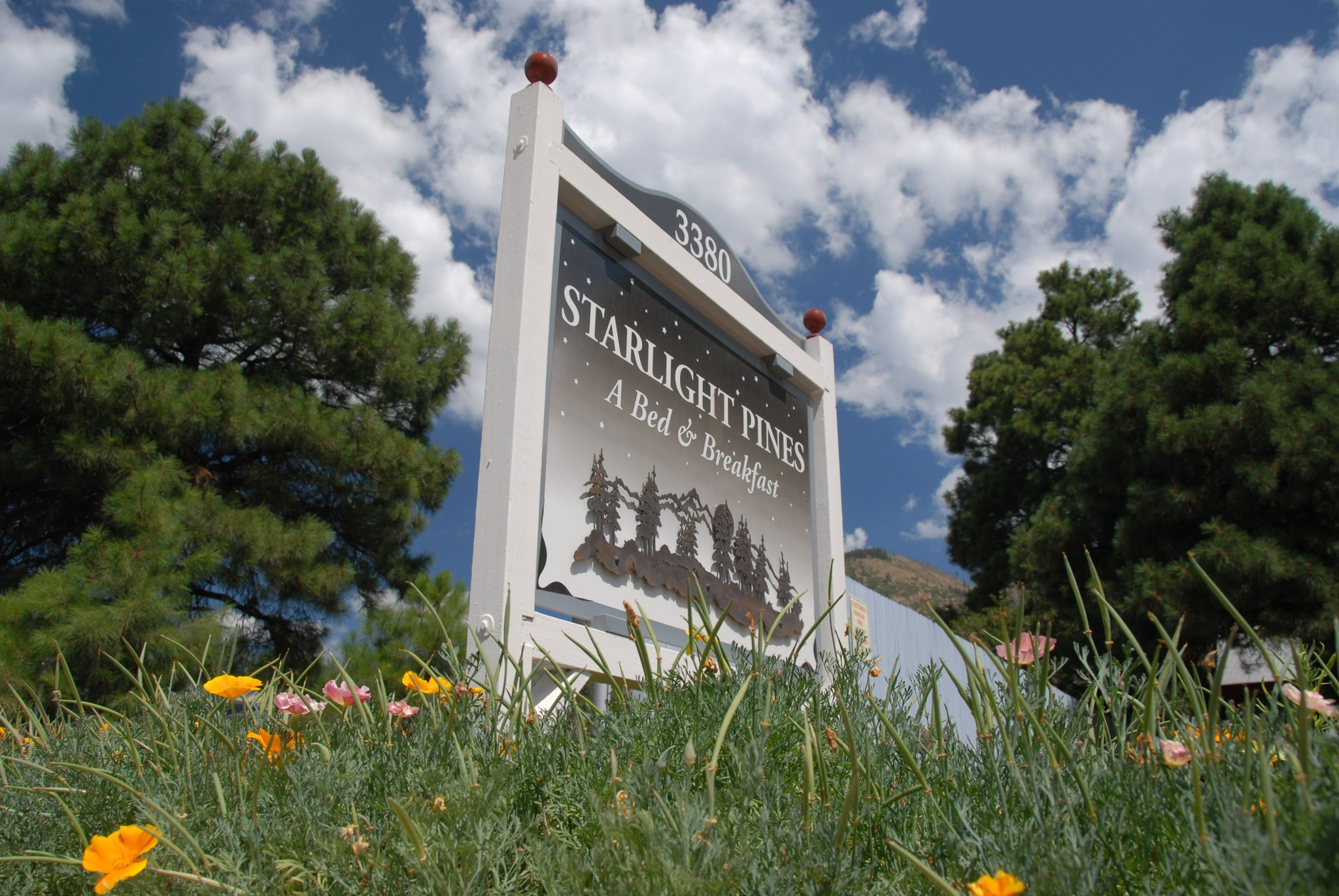 Starlight Pines Bed & Breakfast Flagstaff AZ