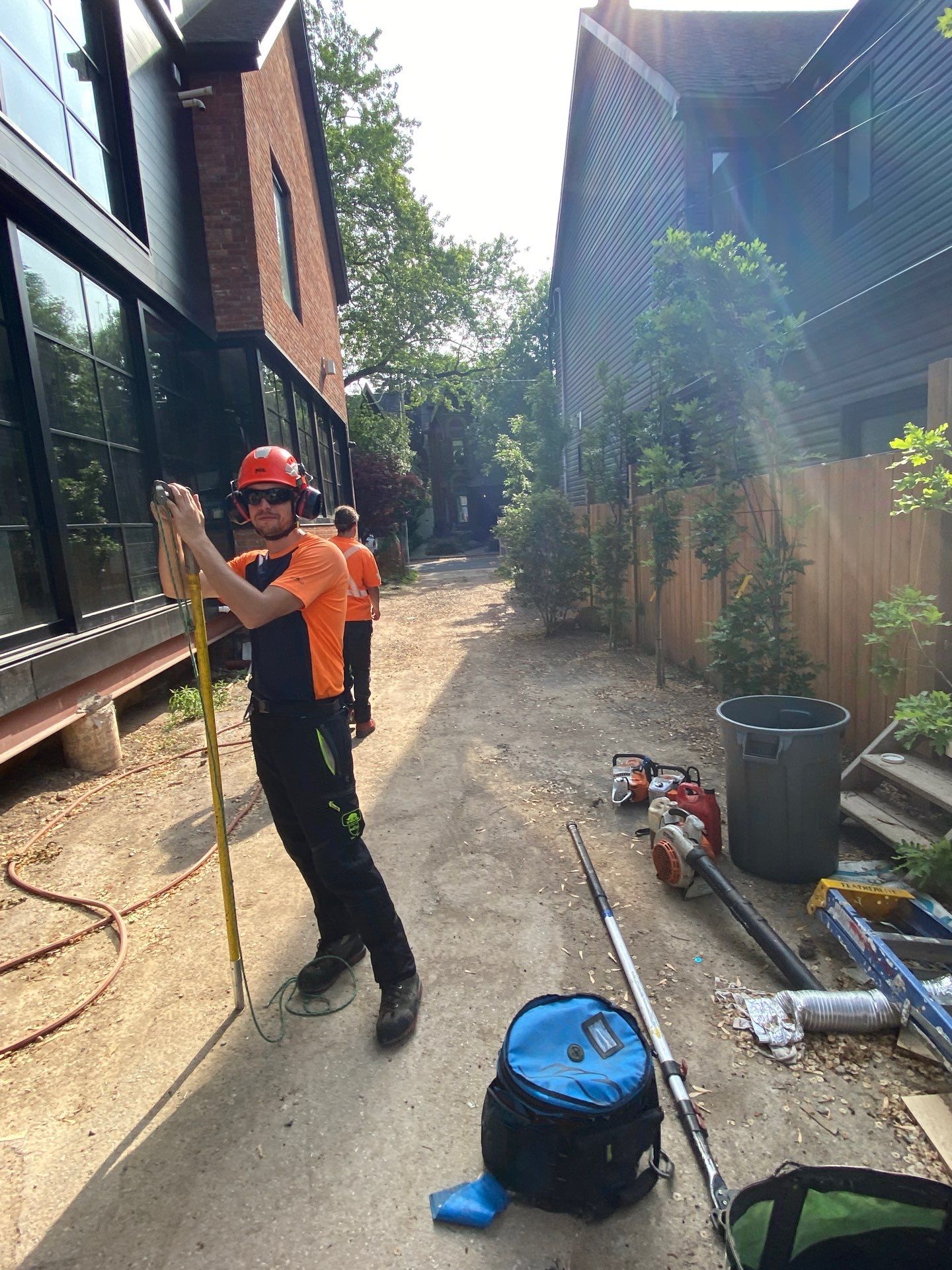 Vista Tree Management | Toronto ON