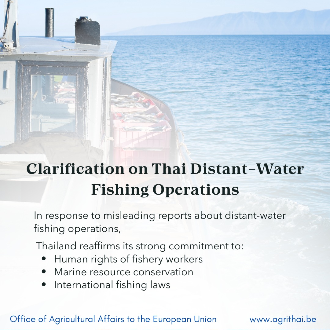 Photo inspiration: Unwanted Response Clarification Now Reference: ภาษาไทยด านล าง Clarification On Thai Distant Water Fishing