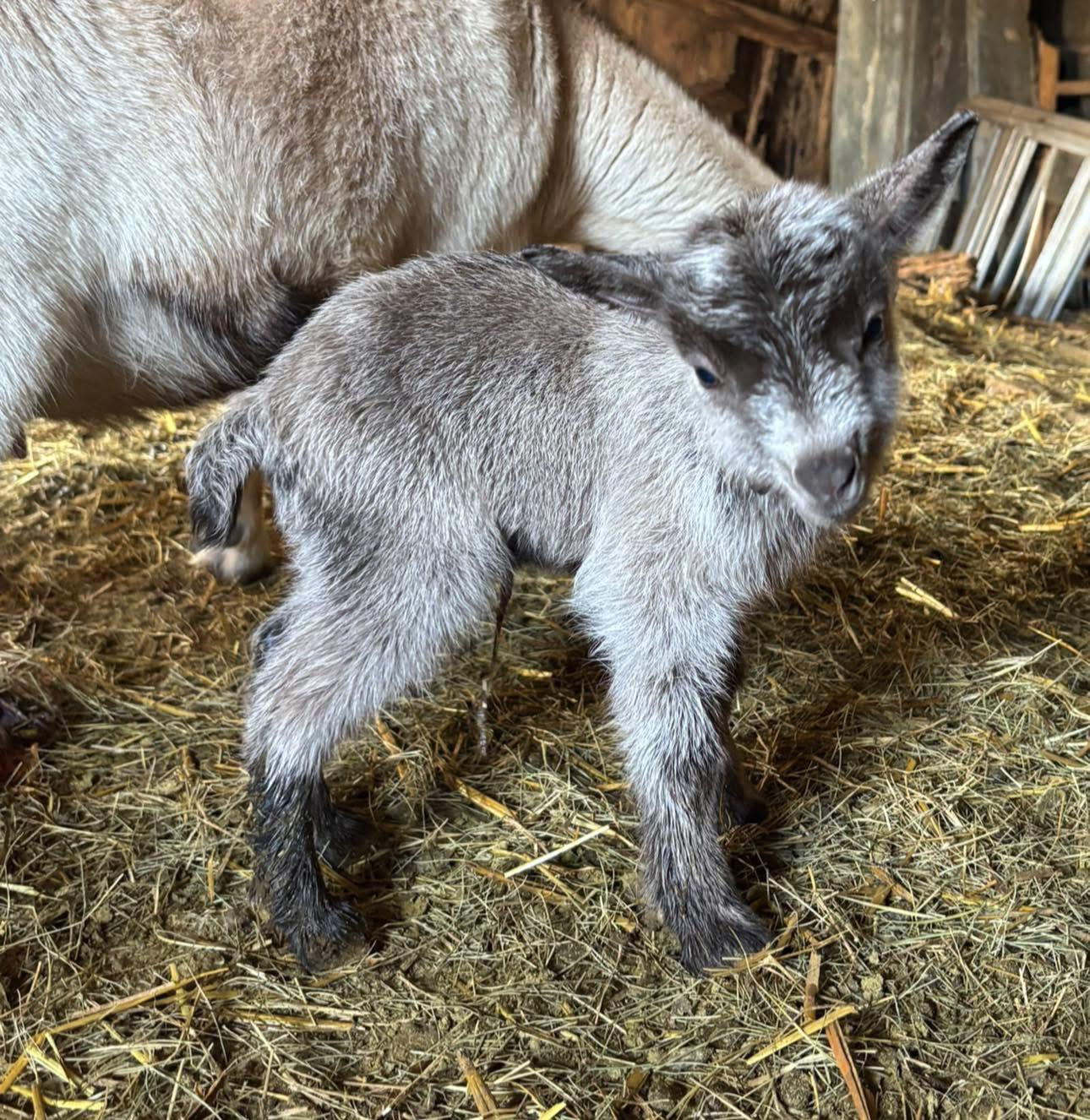 Sprinkle Farms