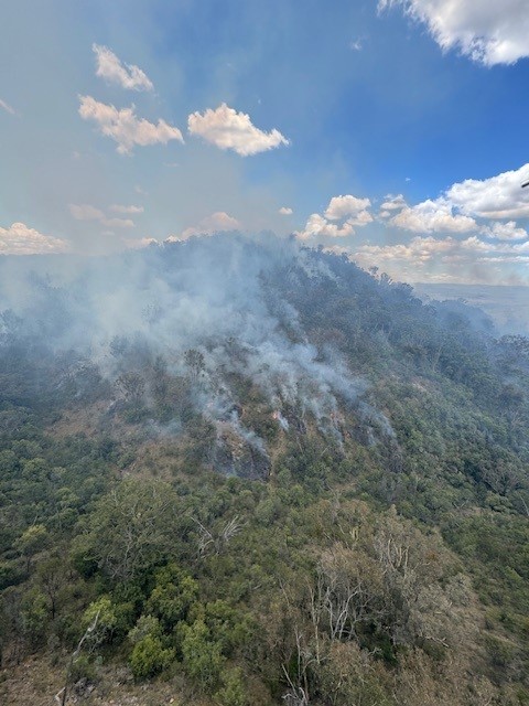 Update: Box... - NSW Rural Fire Service Tamworth District | Facebook