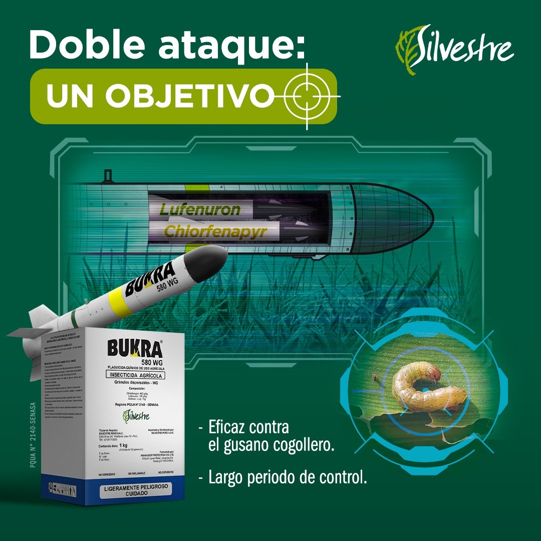 Silvestre Perú - BUKRA 580 WG protege su campo de maíz del gusano ...