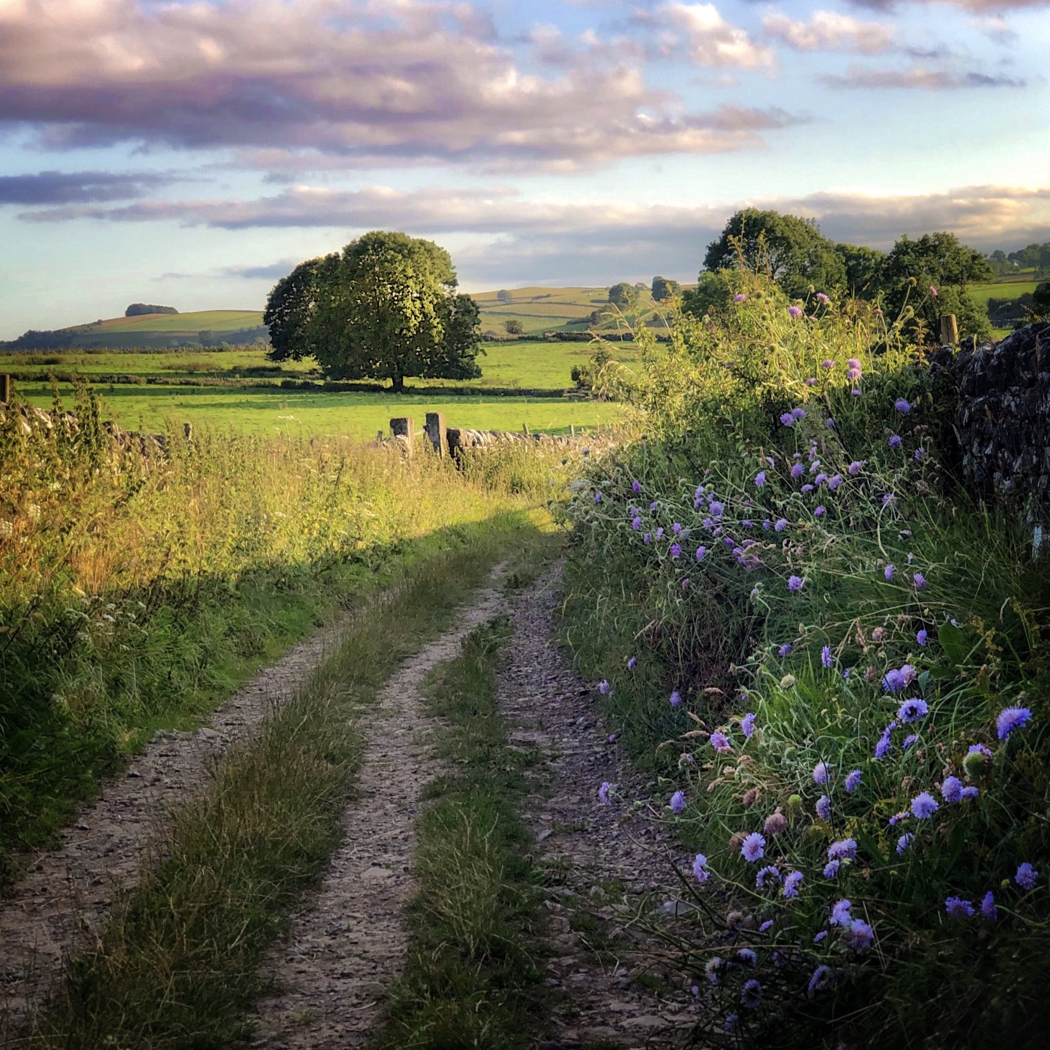 Peaklass - Probably one of the best ways to spend a summer evening ...