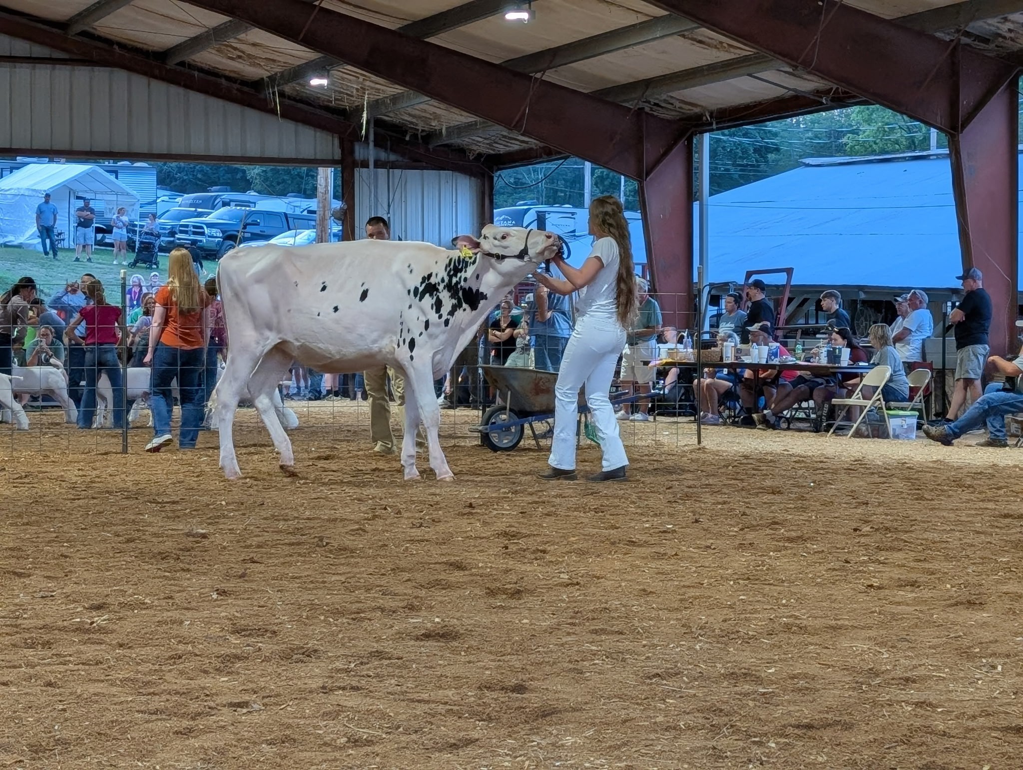 Chestnut Ridge FFA added a new photo. - Chestnut Ridge FFA