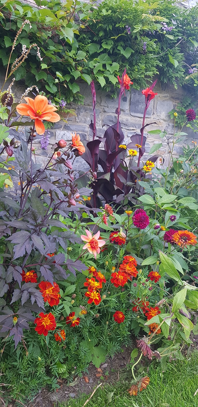 Kilgar Gardens