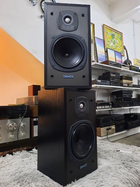 TANNOY 2 way bookshelf speaker Model E11 #tannoy #bookshelfspeaker