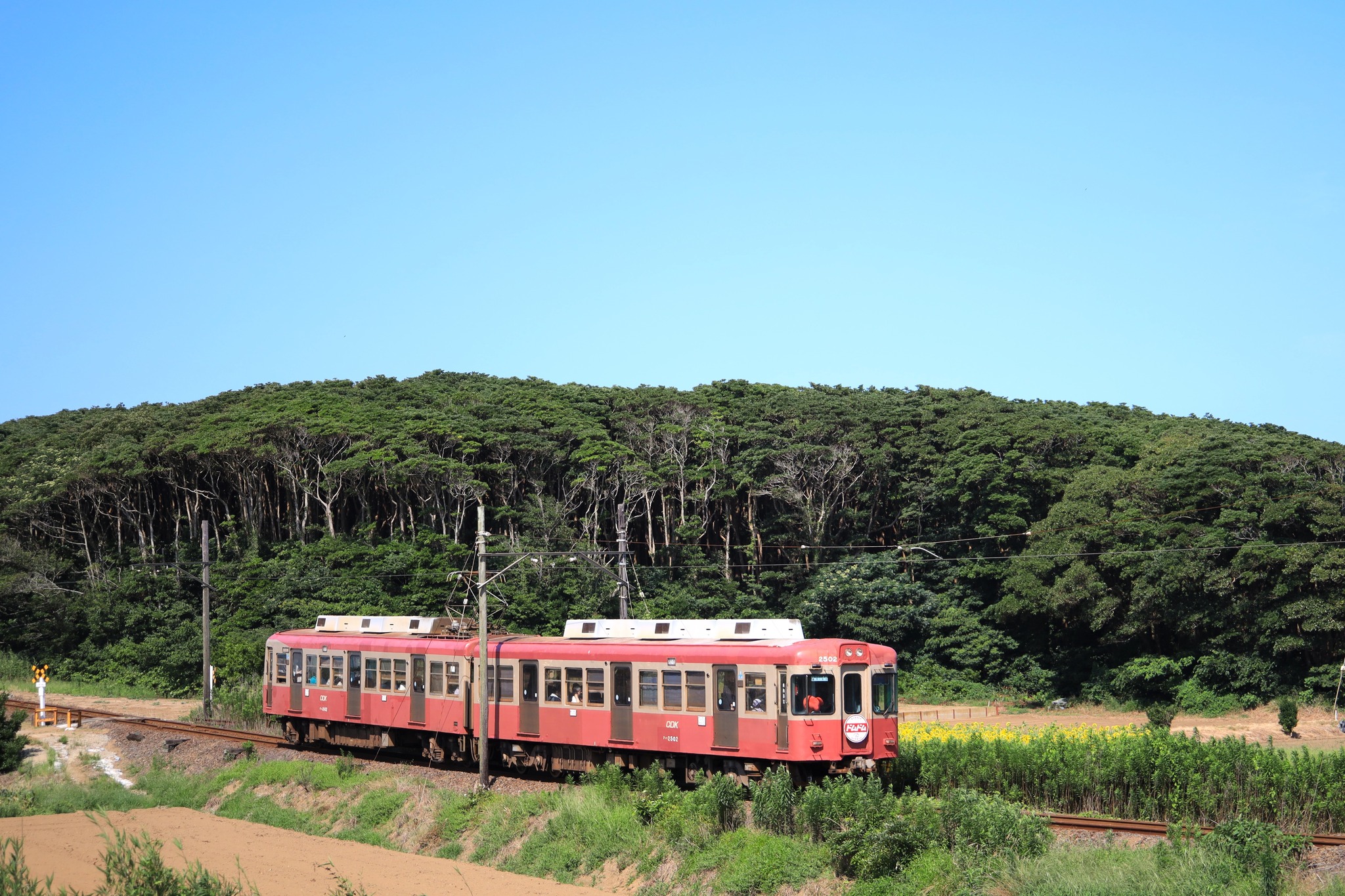 盛夏の銚子電鉄。犬吠駅では銚電まつりが行われていました。2026.7.19