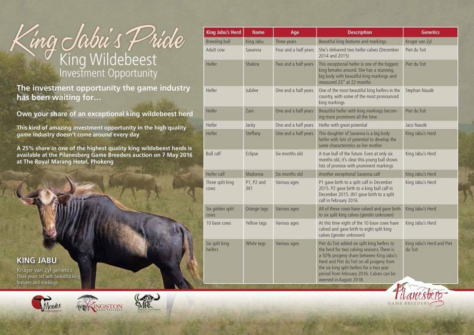 King Wildebeest Investment... - Marius Roothman Boerdery