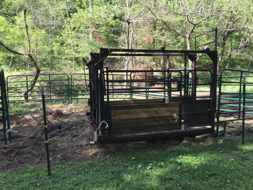 Scupper's Run - Scupper's Run added a new photo.