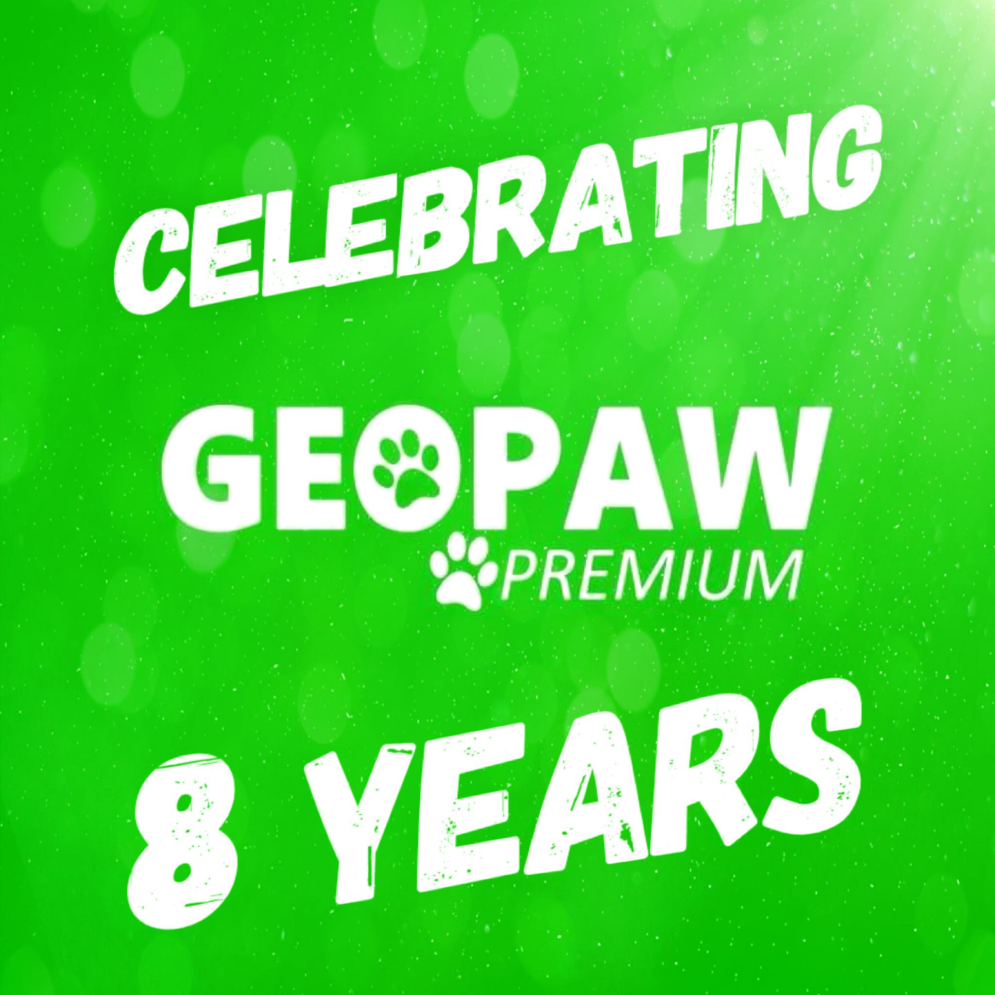 Today marks eight incredible years of... - Geopaw Cowdenbeath
