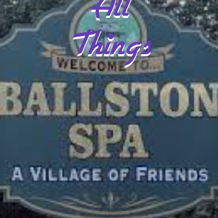 All Things Ballston Spa | Does anyone know what type of insect this is ...