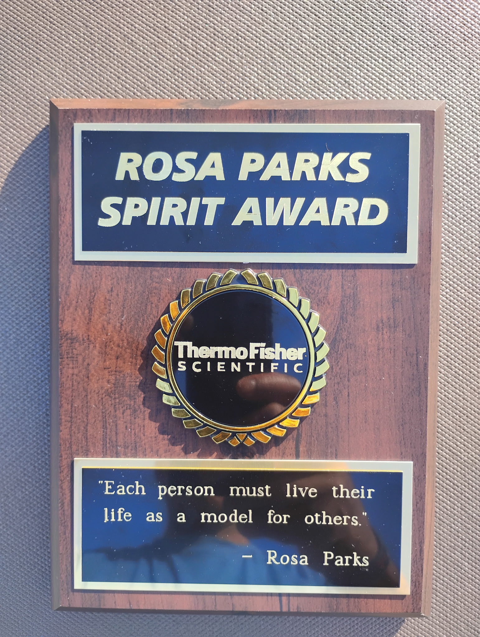 Rosa and Raymond Parks Institute for Self Development | Detroit MI