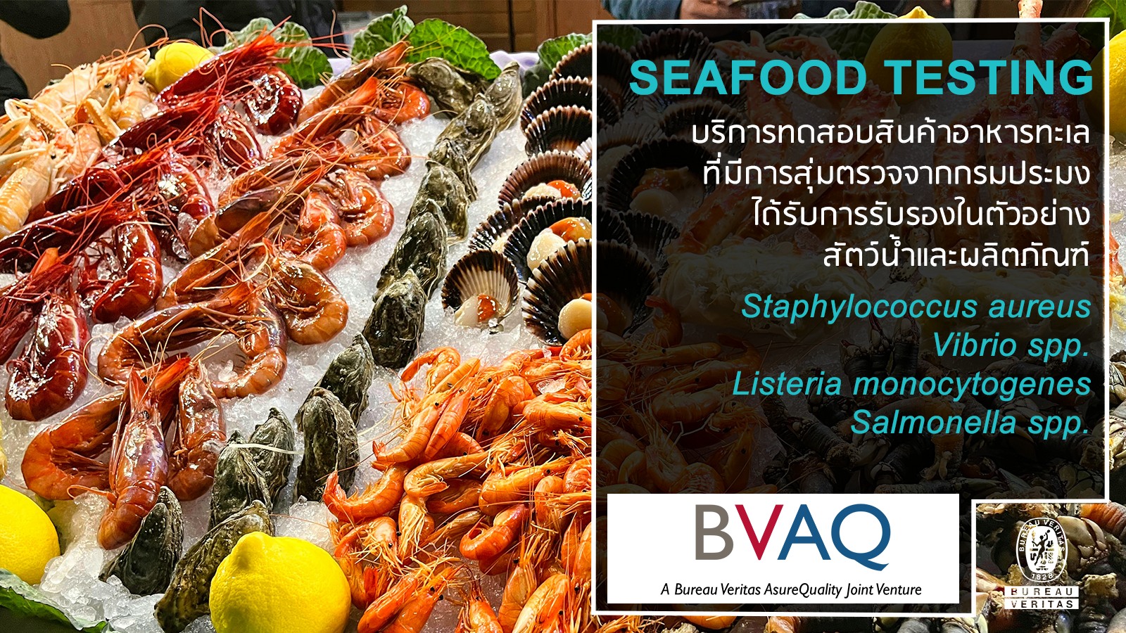 Bureau - บริการทดสอบสินค้าอาหารทะเลในห้องปฏิบัติการจาก BVAQ เรื่องความ ...