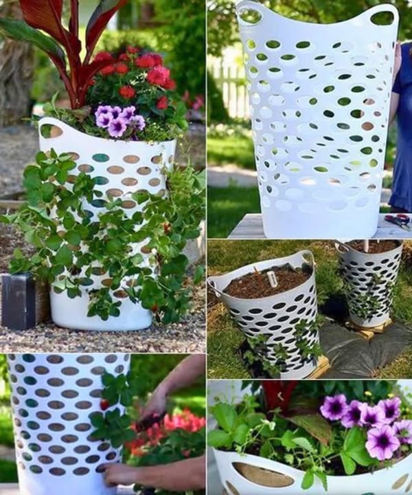 Fan - Dollar Store STRAWBERRY PLANTER! Genius idea if you love ...