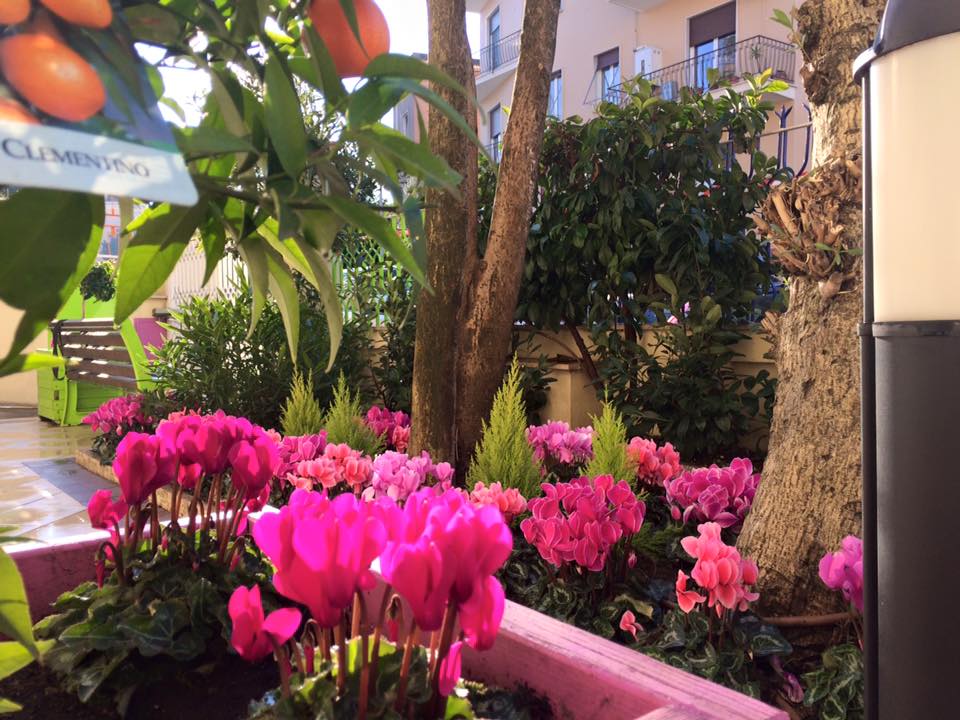 Green Zone Roma - Home