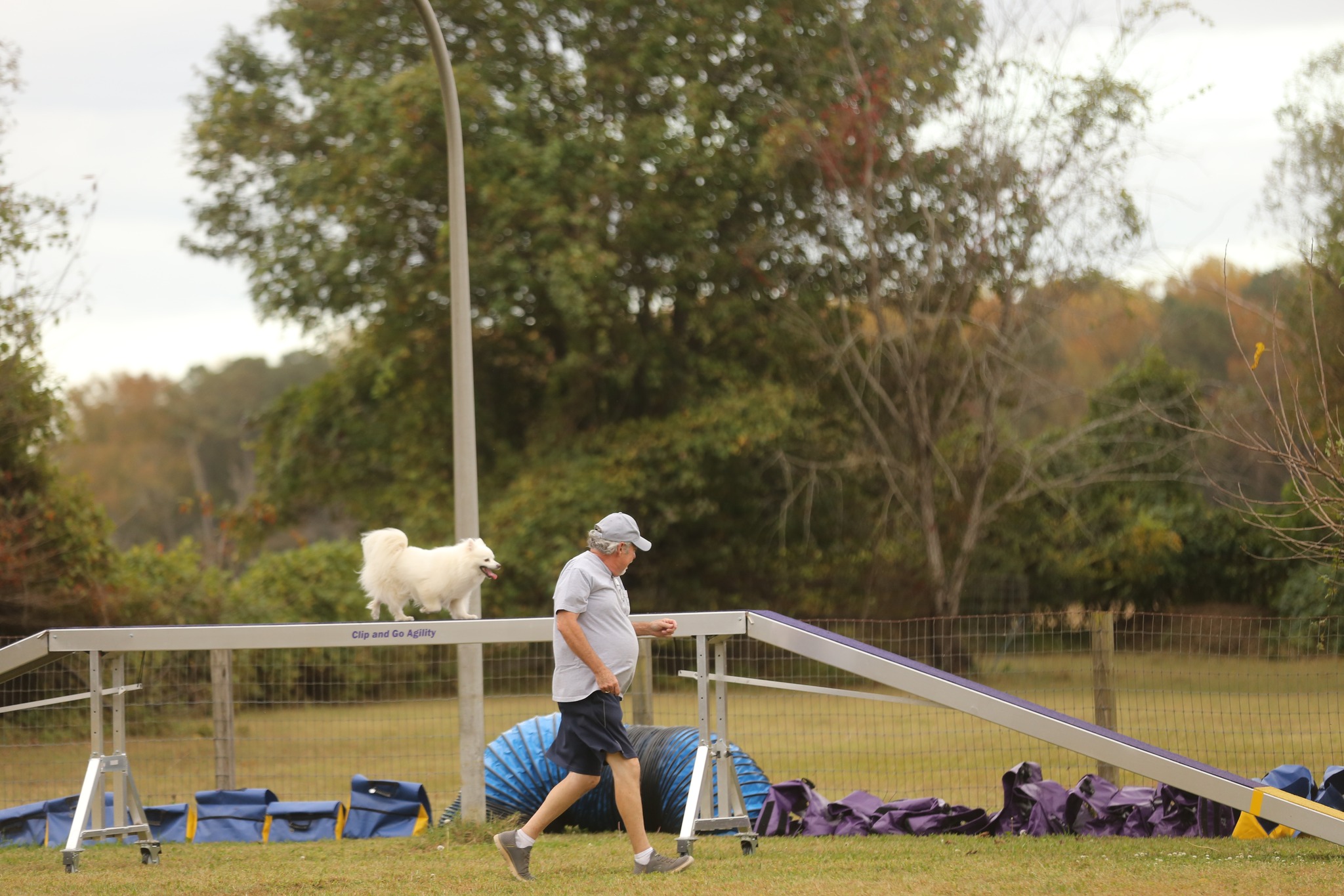 Family Dog Club - Our love to Arlene Stadler after the... | Facebook