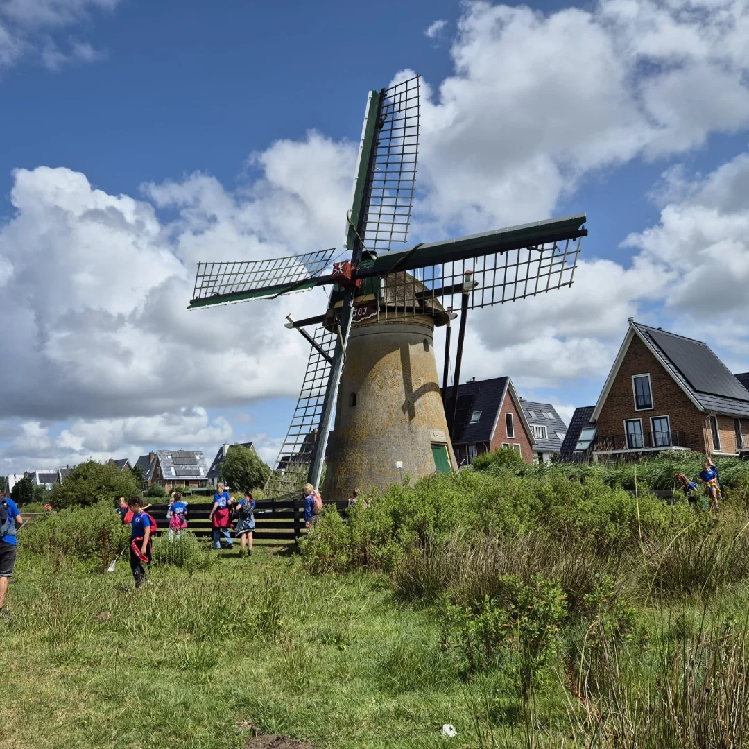 Scouting Rijen | Rijen